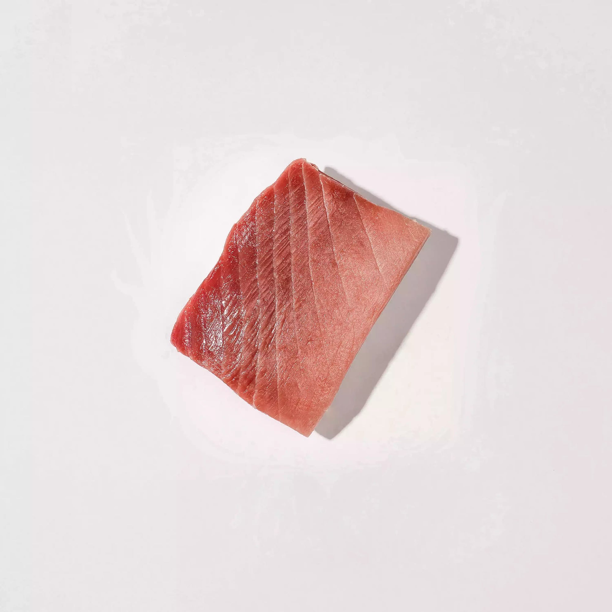Bluefin Tuna Chu-Toro