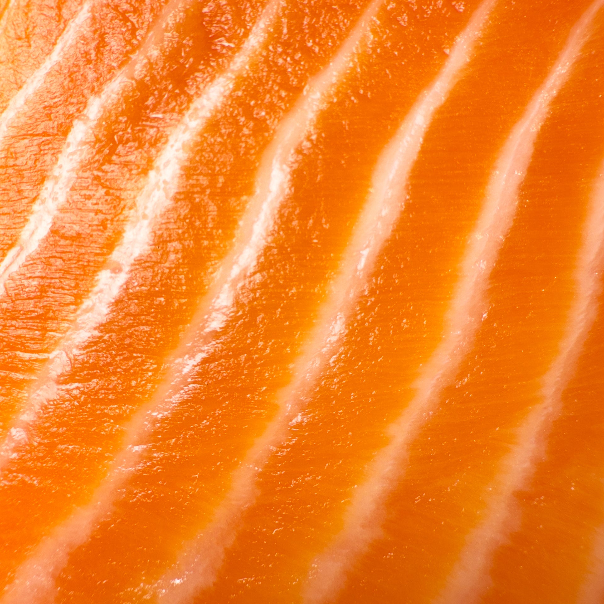 Ōra King Salmon (FRESH 2LB)