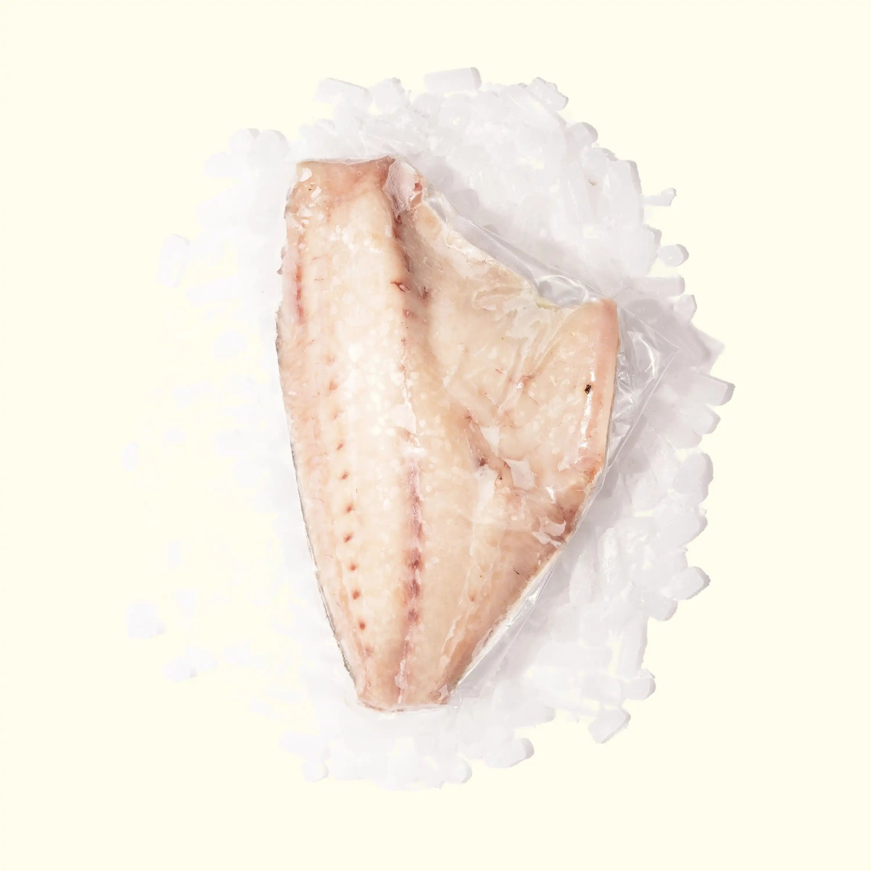 Kampachi (Yellowtail) from Panama - overhead photo of filet skin side down frozen on a bed of ice - order fresh seafood online buy sushi sashimi grade fish home delivery riviera seafood club