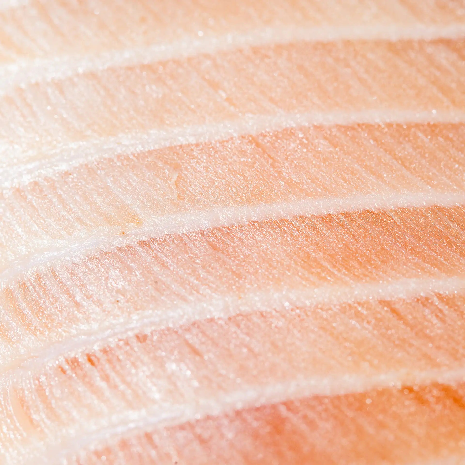 Pacu Filet - close up photo showing buttery fatty texture and light pink color - order fresh seafood online buy sushi sashimi grade fish home delivery riviera seafood club