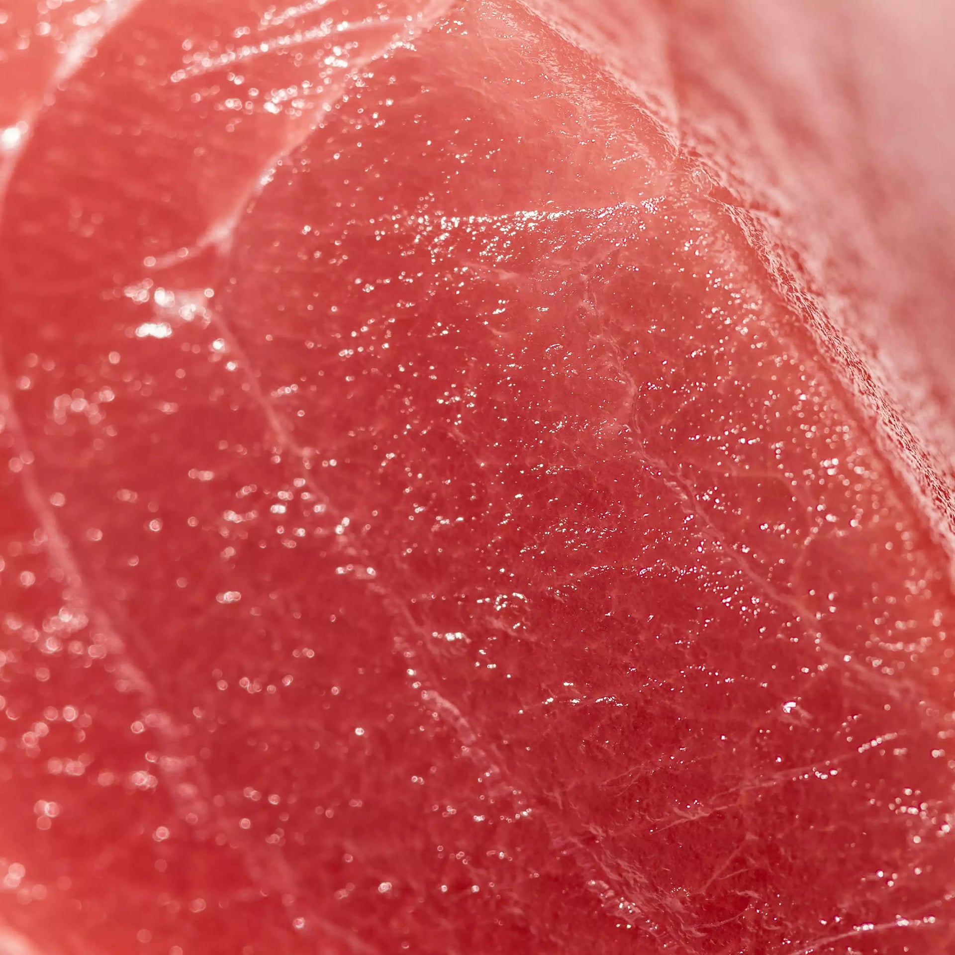 Wild Bigeye Tuna - close up photo showing deep red color and delicate texture - big eye order fresh seafood online buy sushi sashimi grade fish home delivery riviera seafood club