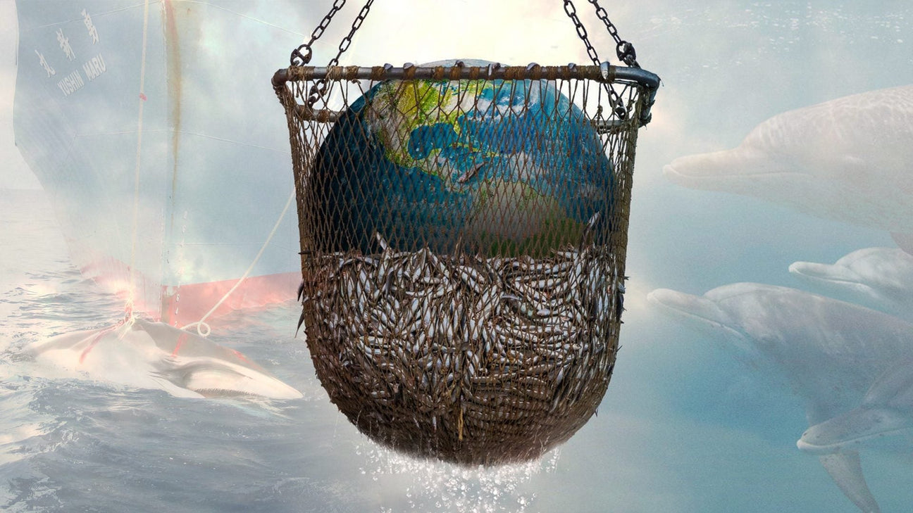 Riviera Seafood Club and Seaspiracy review comments