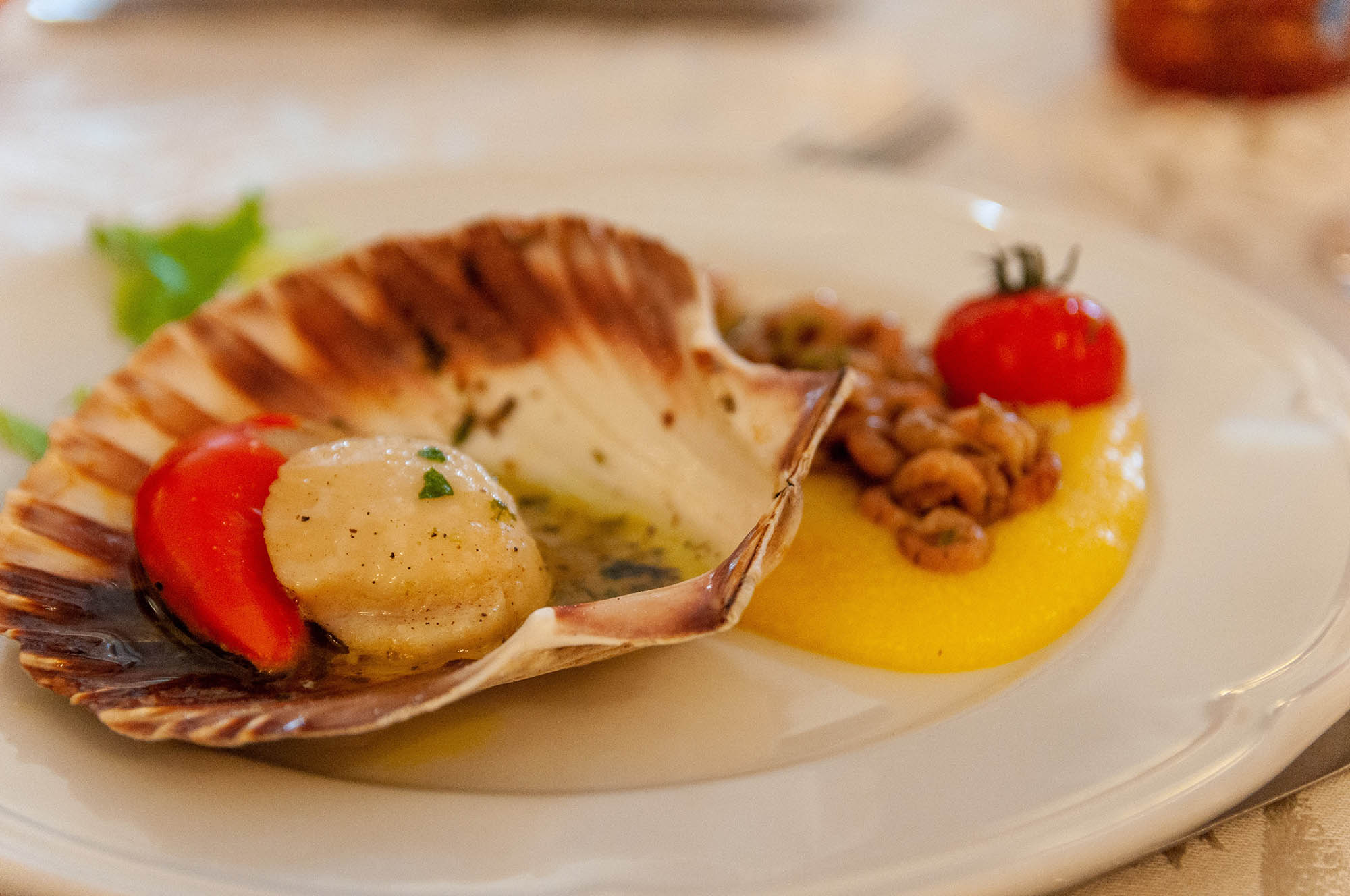 Scrumptious Delights: The Baked Scallops Recipe That'll Make You Swoon