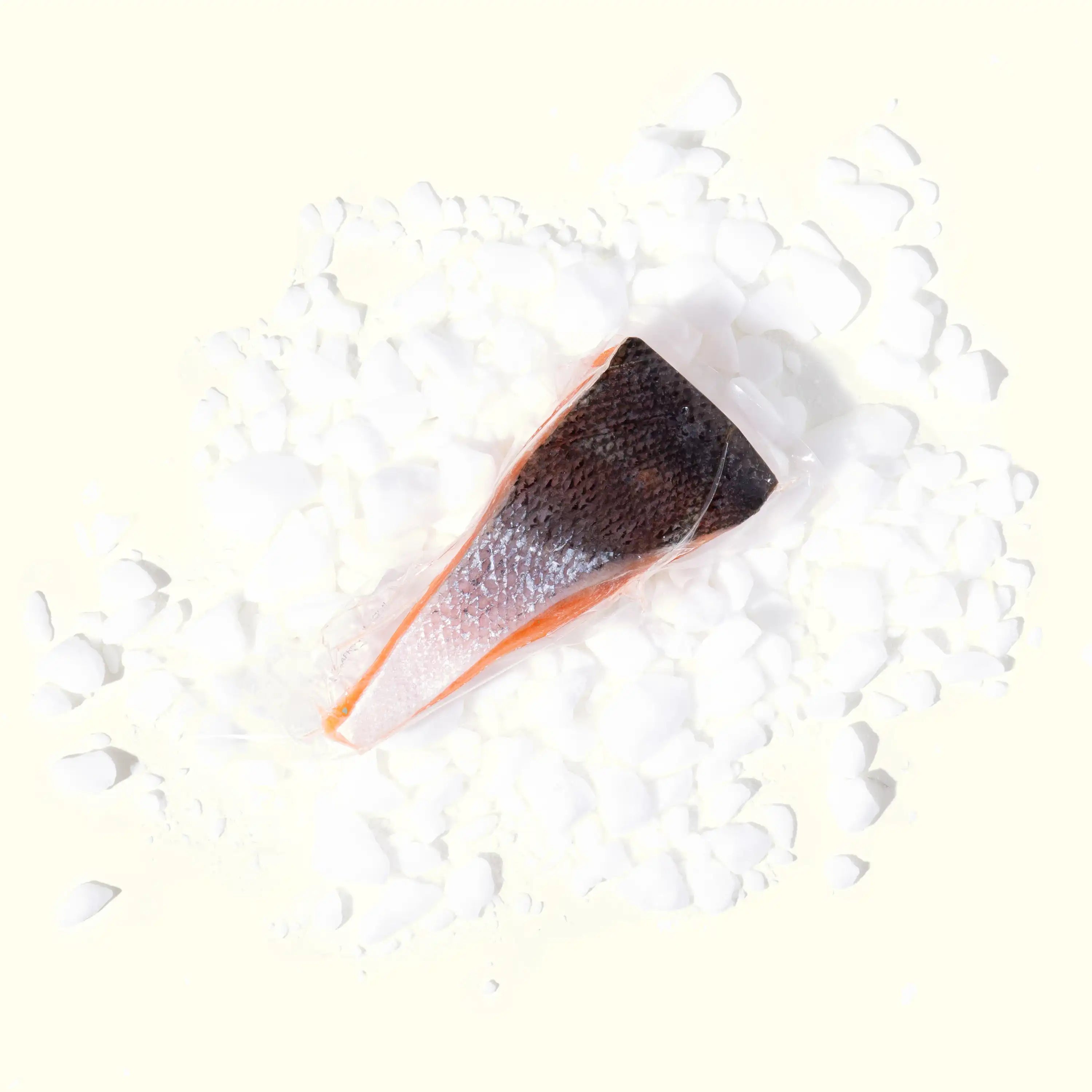 Bakkafrost Salmon Filet overhead photo frozen in package on bed of ice - order fresh seafood online buy sushi sashimi grade fish home delivery riviera seafood club