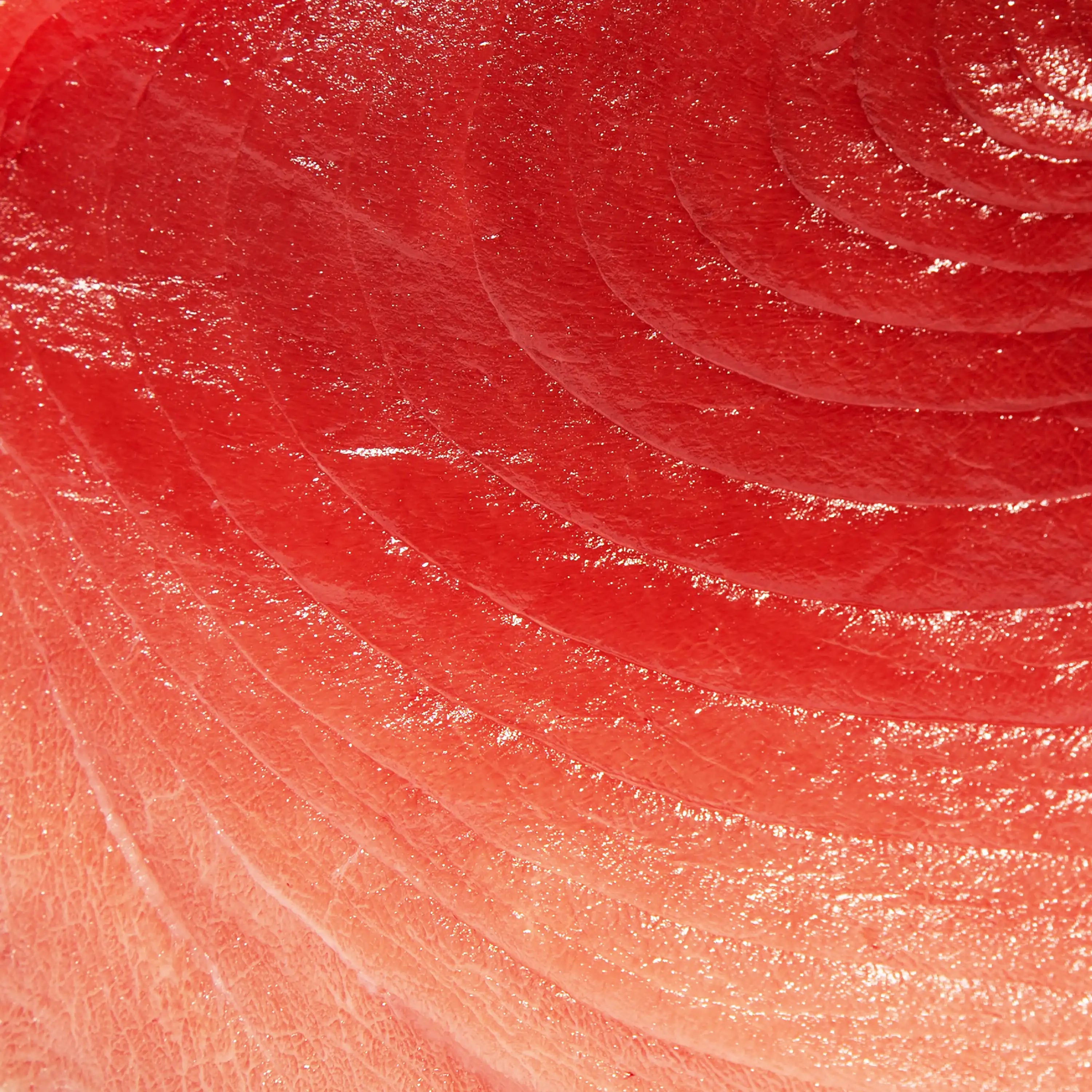 Bluefin Tuna Senaka Center Cut Top Loin - Close up photo showing bright red and slight pink color and meaty texture - order fresh bluefin tuna online sushi sashimi grade home delivery riviera seafood club