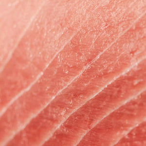 Bluefin Tuna Chu-Toro Close Up