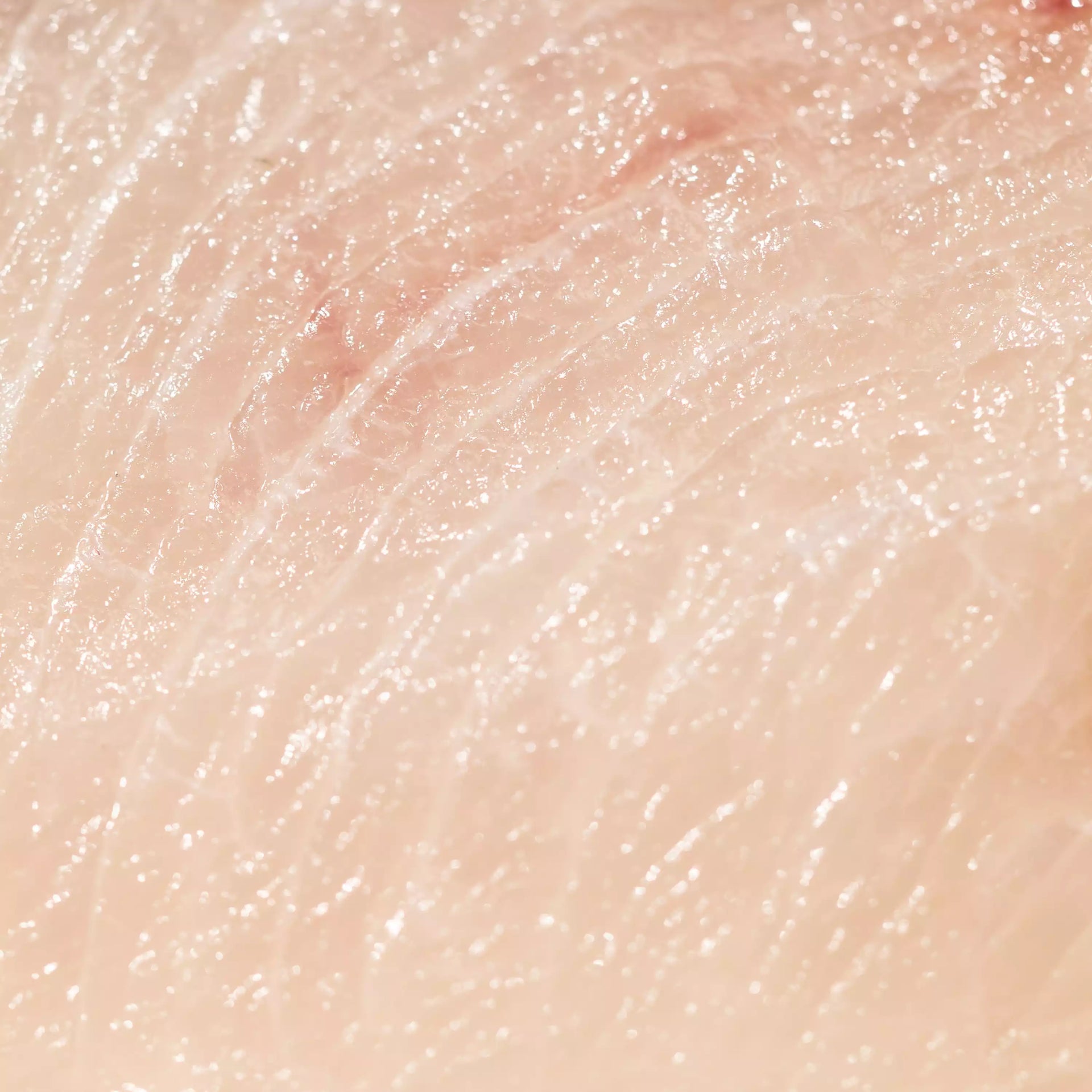 Hon-Hamachi (Japanese Yellowtail) Saku - close up photo showing light pink color and buttery fatty texture - order fresh seafood online home delivery sushi sashimi grade riviera seafood club