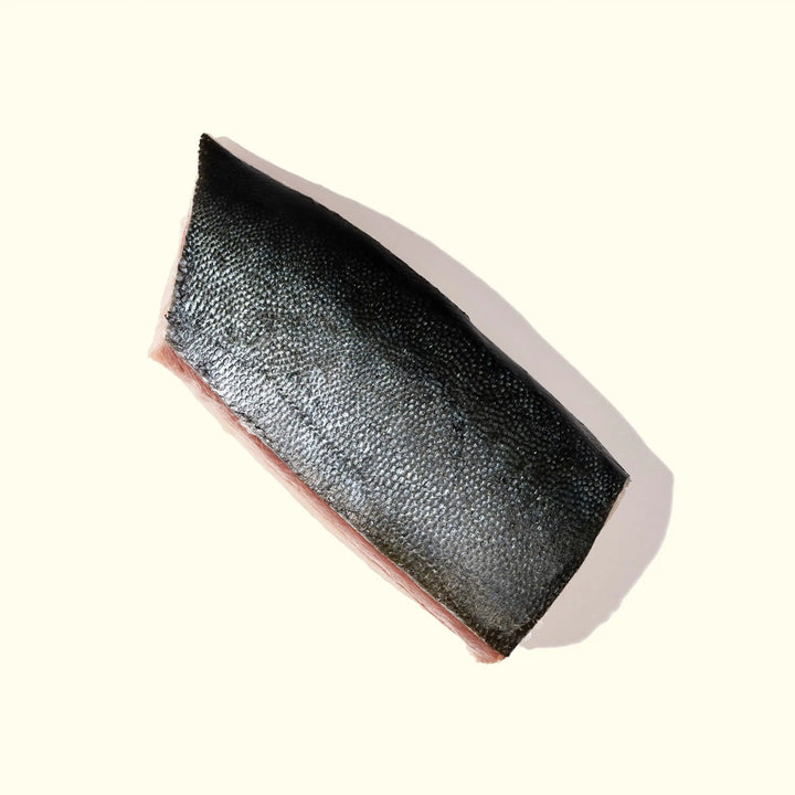 Hon-Hamachi (Japanese Yellowtail) Saku - overhead photo with skin side up - order fresh seafood online home delivery sushi sashimi grade riviera seafood club