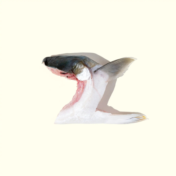 Hon-Hamachi (Yellowtail) Kama (Collar) over head photo of one collar - skin side up - order fresh seafood online home delivery riviera seafood club