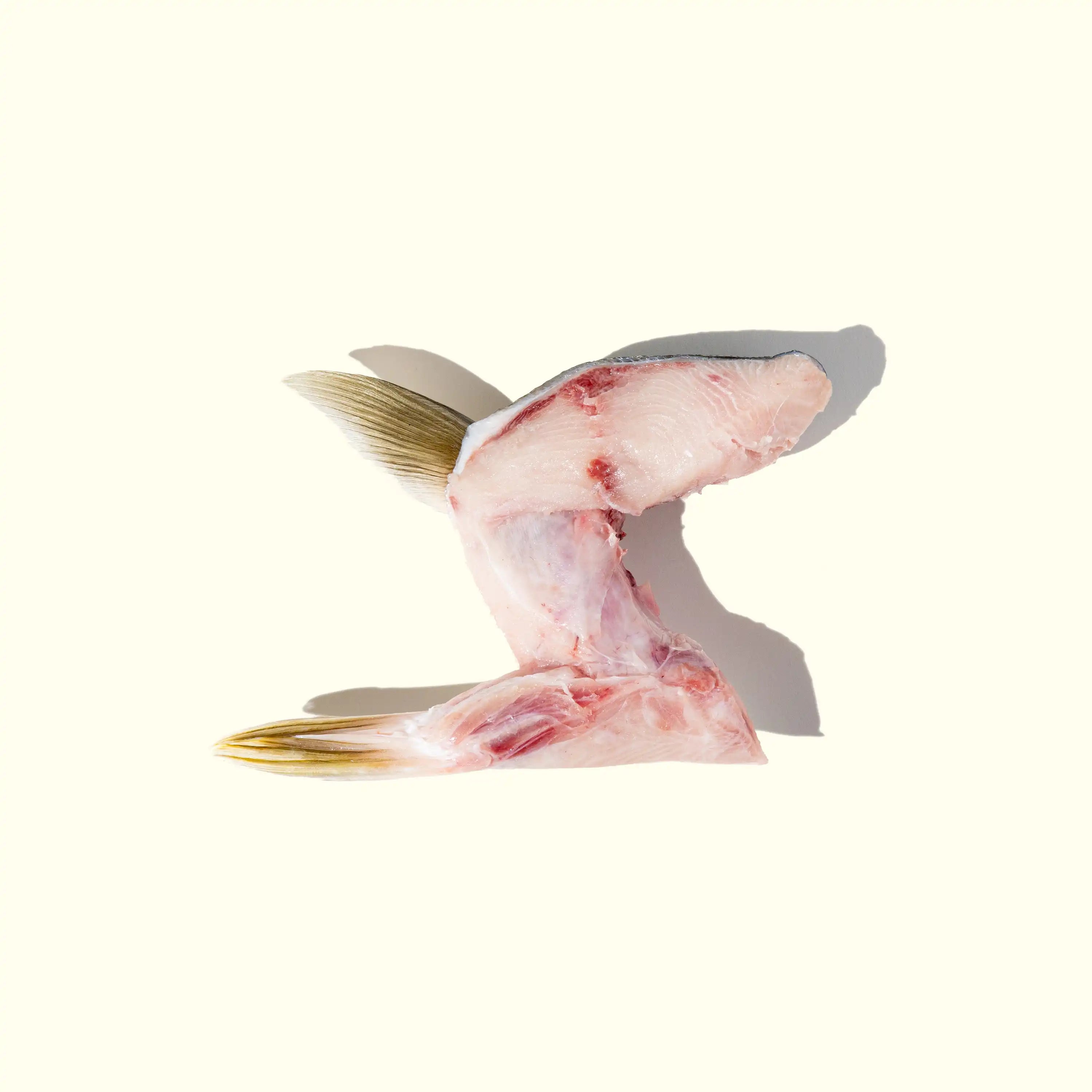 Hon-Hamachi (Yellowtail) Kama (Collar) over head photo of one collar - skin side down - order fresh seafood online home delivery riviera seafood club