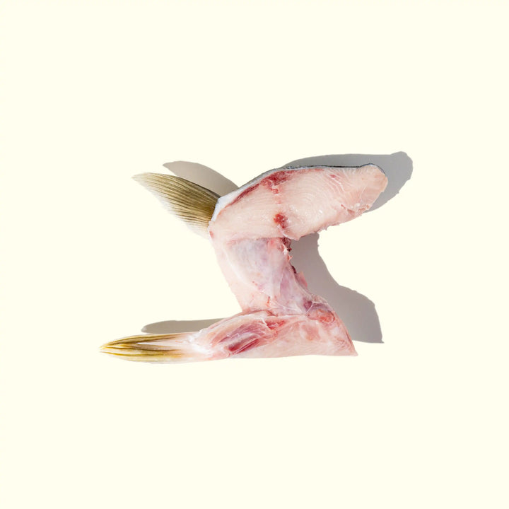 Hon-Hamachi (Yellowtail) Kama (Collar) over head photo of one collar - skin side down - order fresh seafood online home delivery riviera seafood club