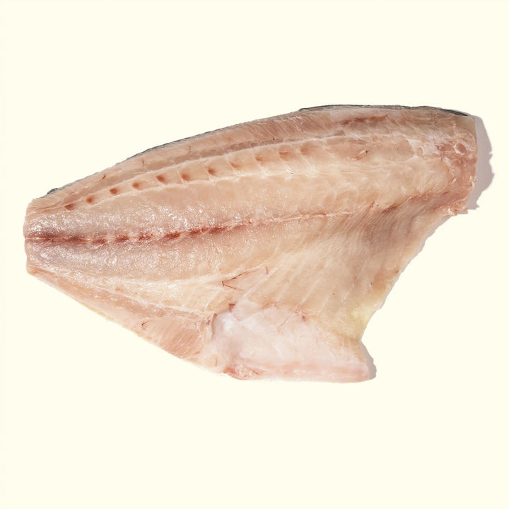 Kampachi (Yellowtail) from Panama - overhead photo of filet skin side down and light pink fatty meat - order fresh seafood online buy sushi sashimi grade fish home delivery riviera seafood club