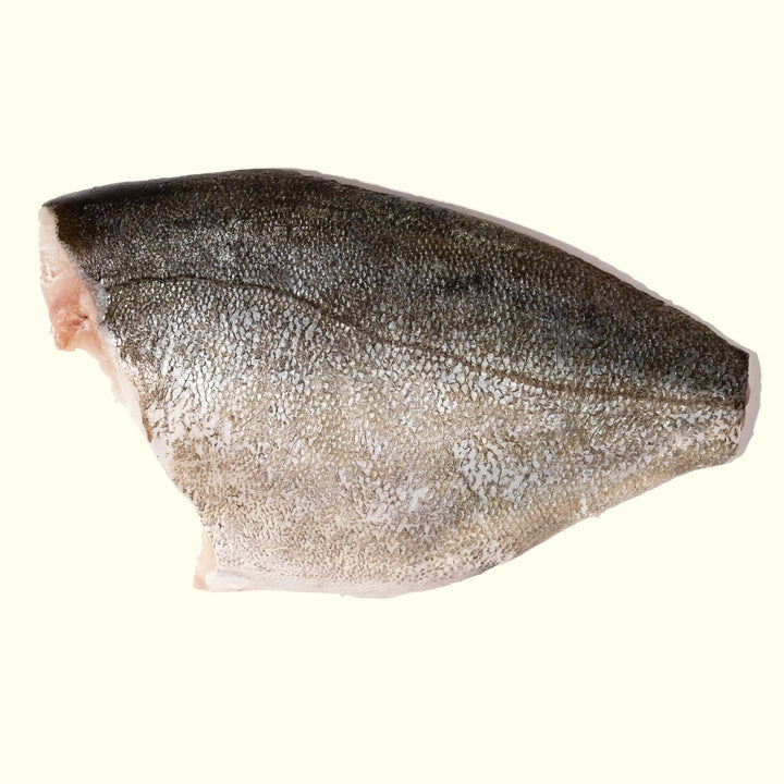 Kampachi (Yellowtail) from Panama - overhead photo of filet skin side up - order fresh seafood online buy sushi sashimi grade fish home delivery riviera seafood club