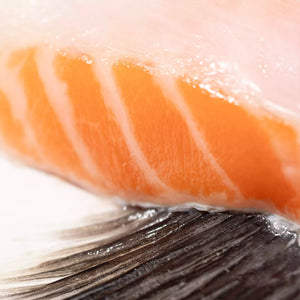 New Zealand Salmon Collars