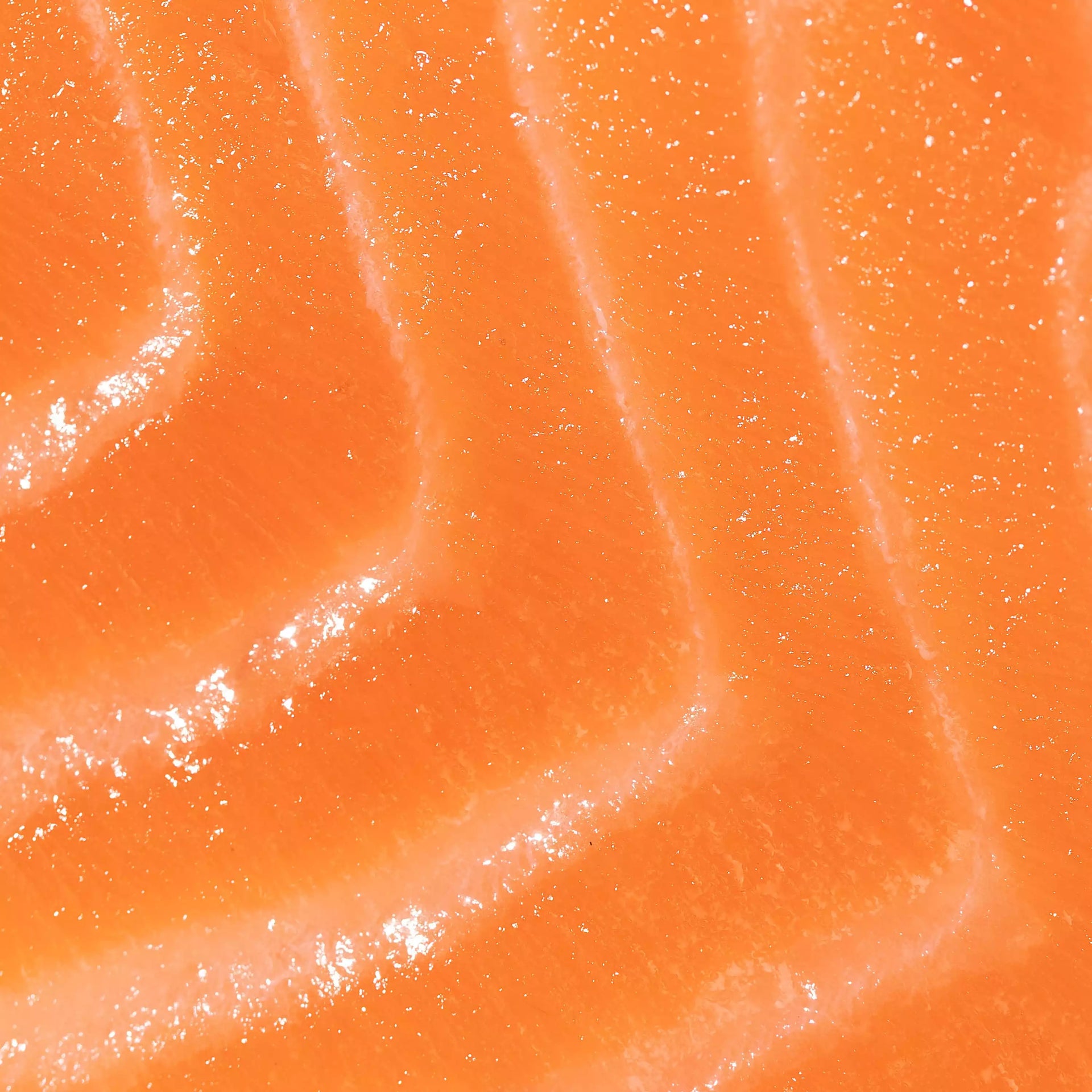 Ōra King Salmon Harasu (Belly) close up