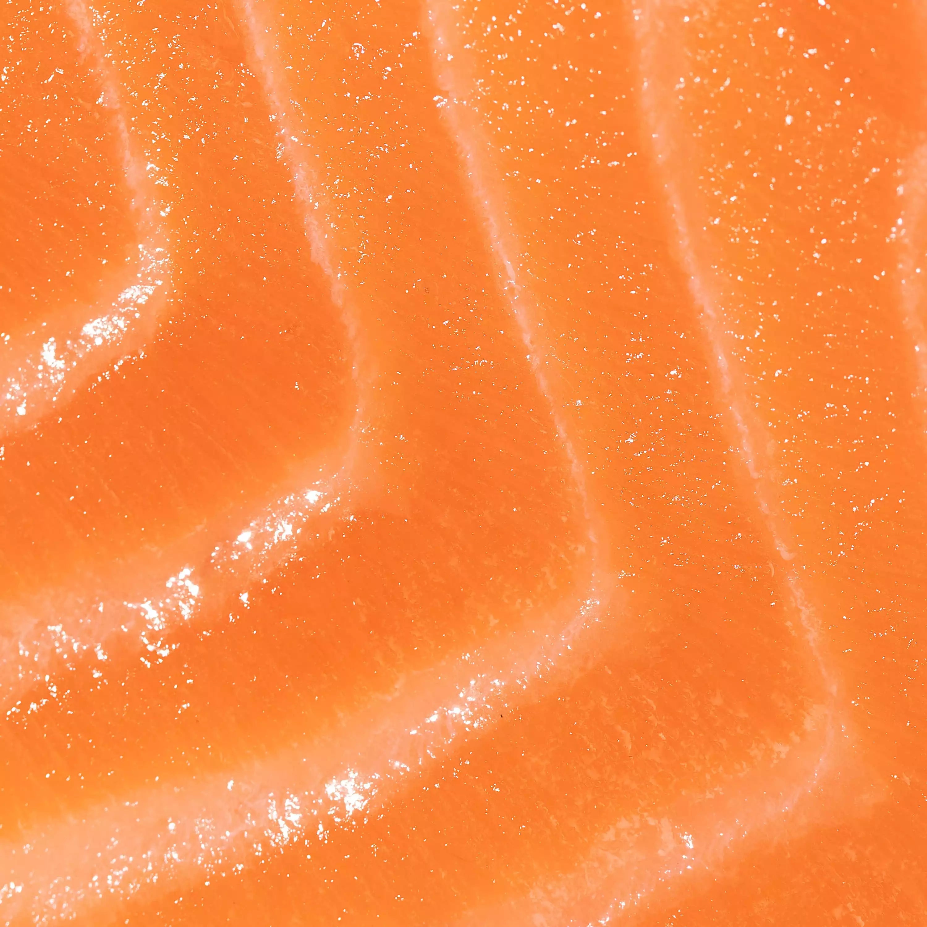 Ōra King Salmon Harasu (Belly) close up