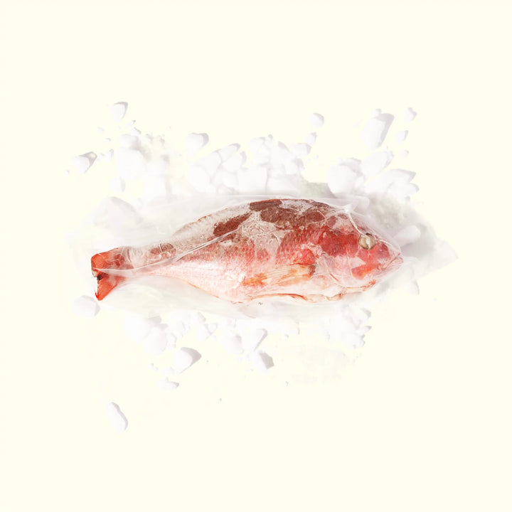 Pacific Red Snapper (whole) - overhead photo frozen in package on ice - order fresh seafood online buy home delivery riviera seafood club