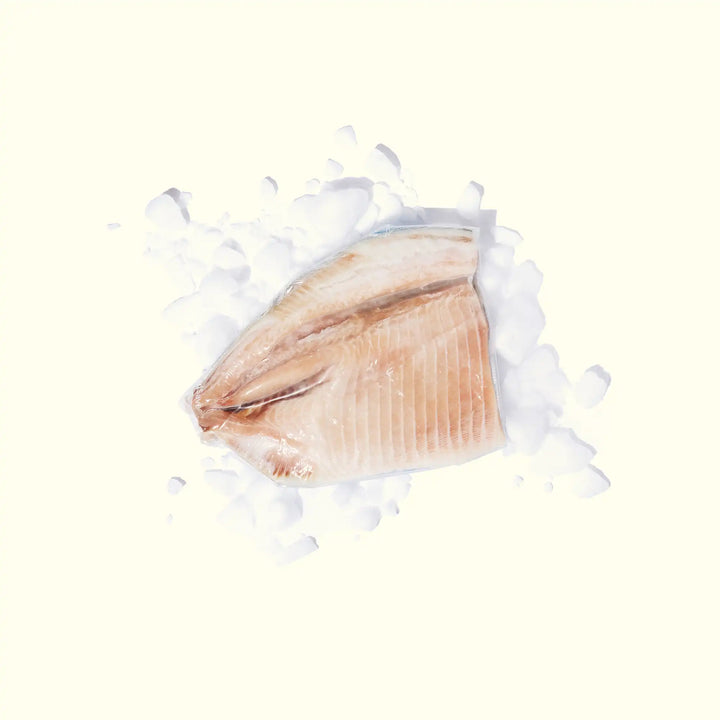Pacu Filet - overhead photo frozen in package on bed of ice - order fresh seafood online buy sushi sashimi grade fish home delivery riviera seafood club