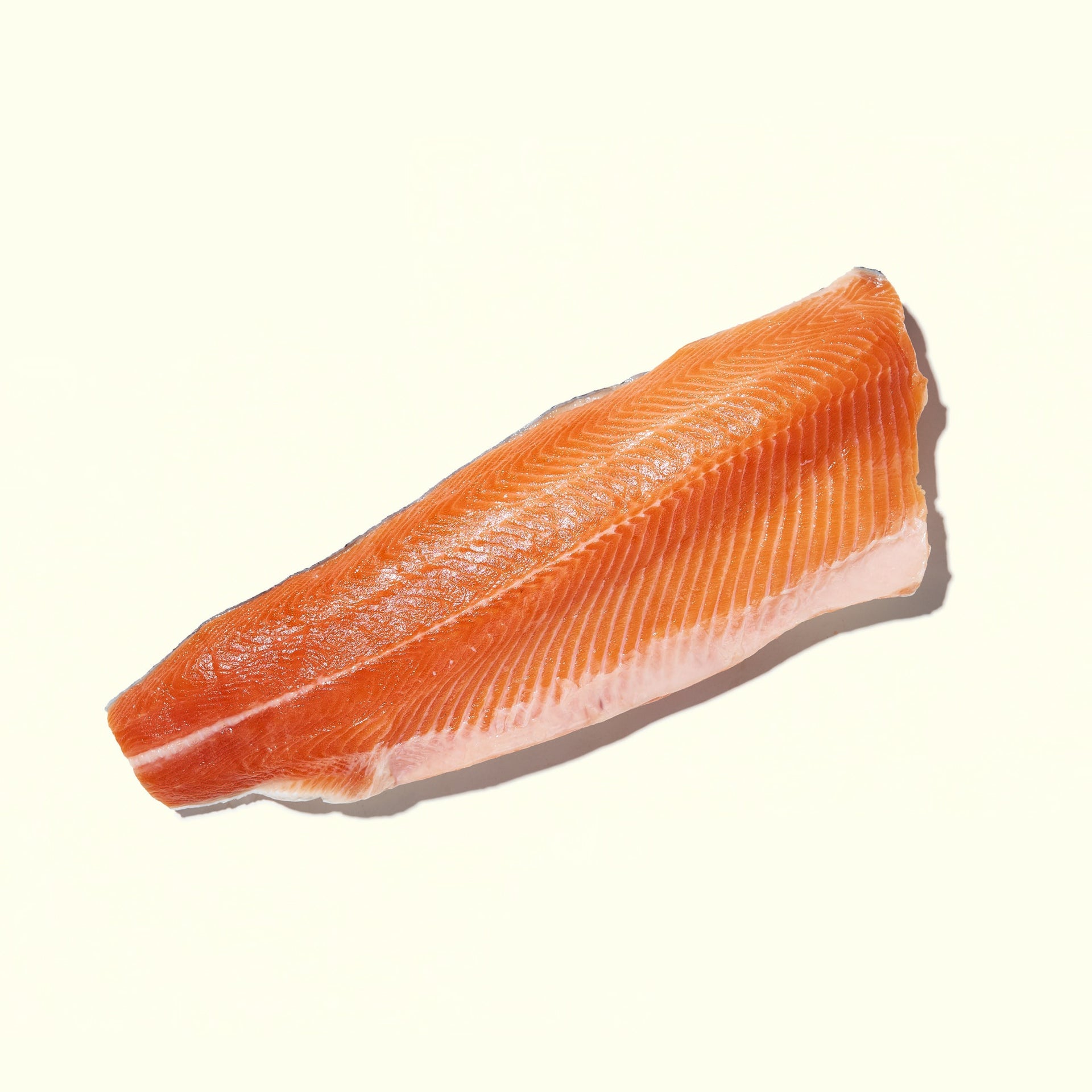 Steelhead Trout Filet