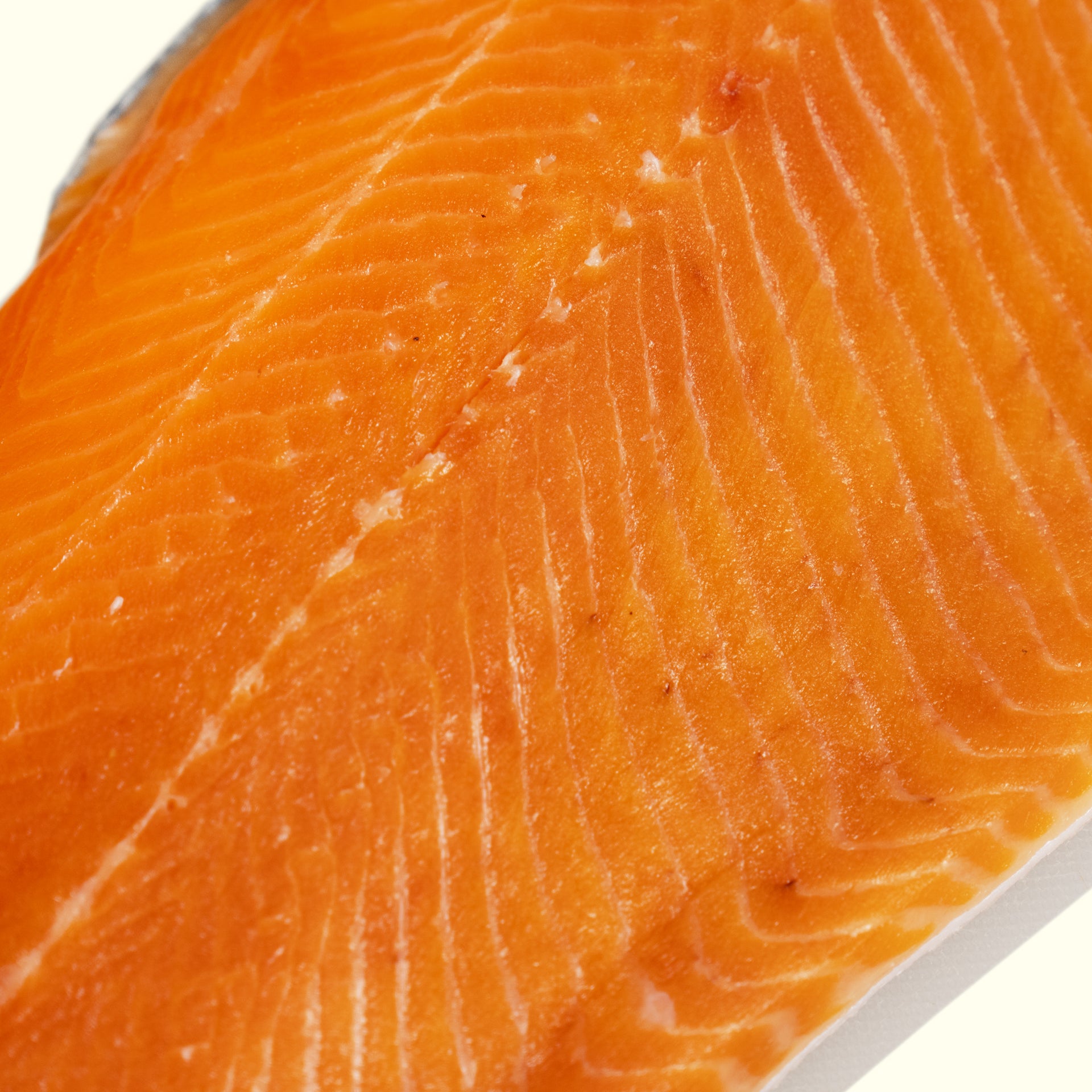 Steelhead Trout Filet