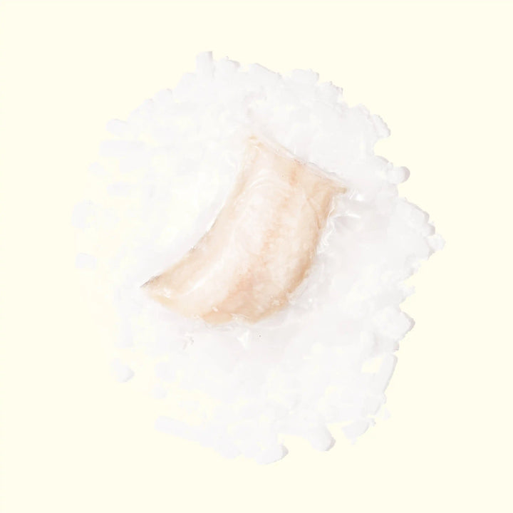 Wild-Caught Alaskan Black Cod (Sablefish or Gindara) - overhead photo frozen in packaging on ice - order fresh seafood online buy sushi sashimi grade fish home delivery riviera seafood club
