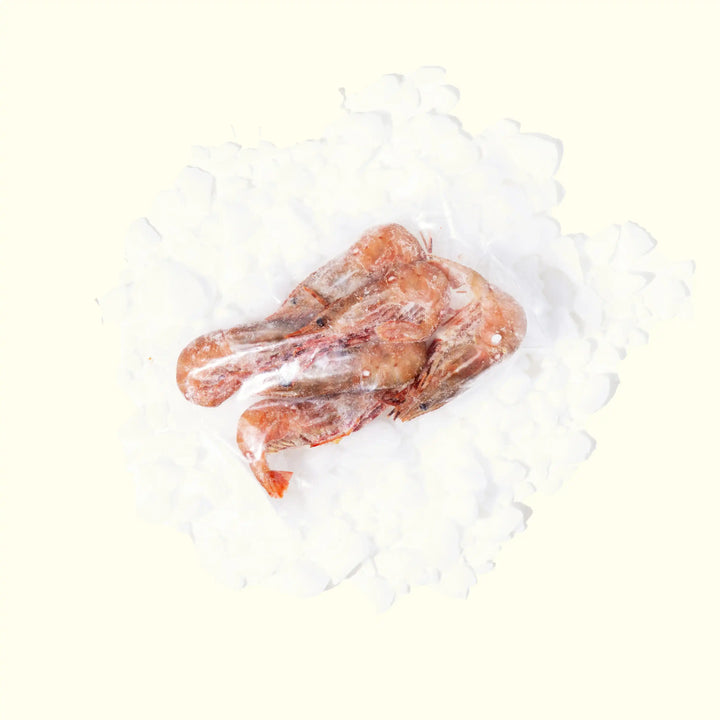 Frozen Wild-Caught Amaebi (Spot Prawn) order fresh seafood online Riviera Seafood Club