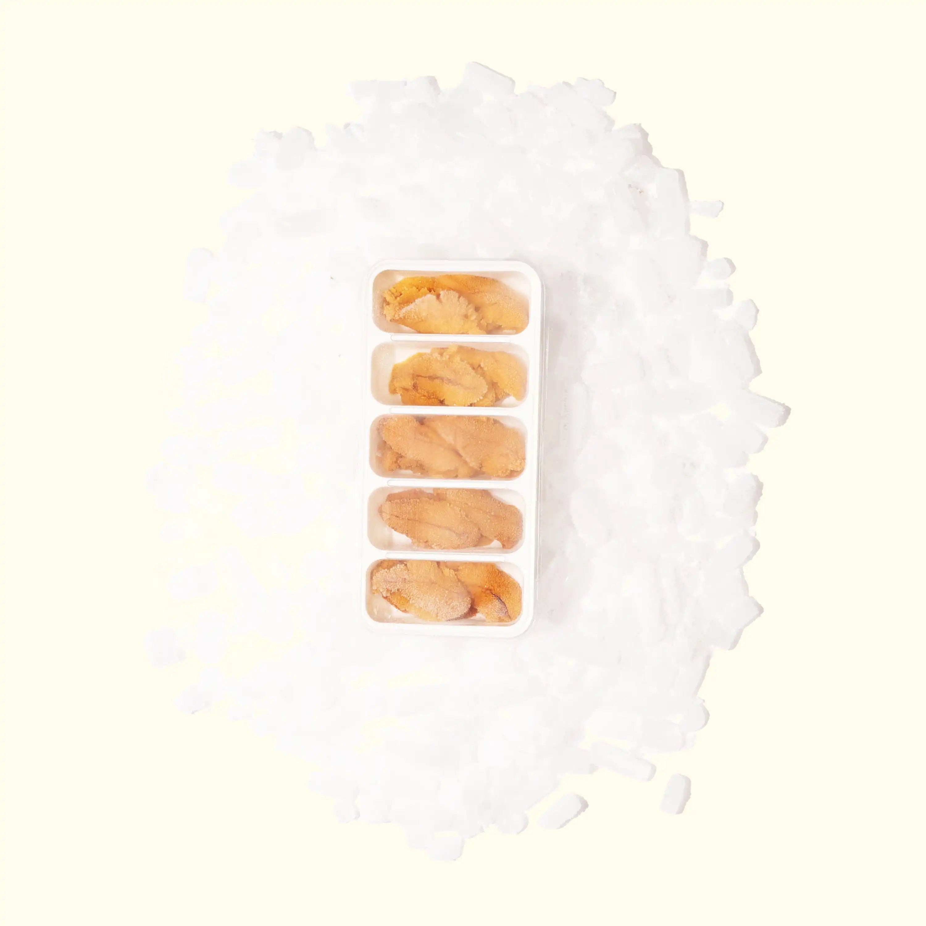 Wild-Caught Uni (Sea Urchin) (A Grade) - over head photo frozen in packaging on ice - order fresh seafood online buy sushi sashimi grade shellfish home delivery riviera seafood club