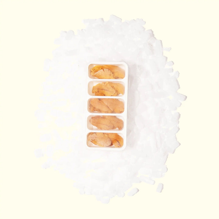 Wild-Caught Uni (Sea Urchin) (A Grade) - over head photo frozen in packaging on ice - order fresh seafood online buy sushi sashimi grade shellfish home delivery riviera seafood club