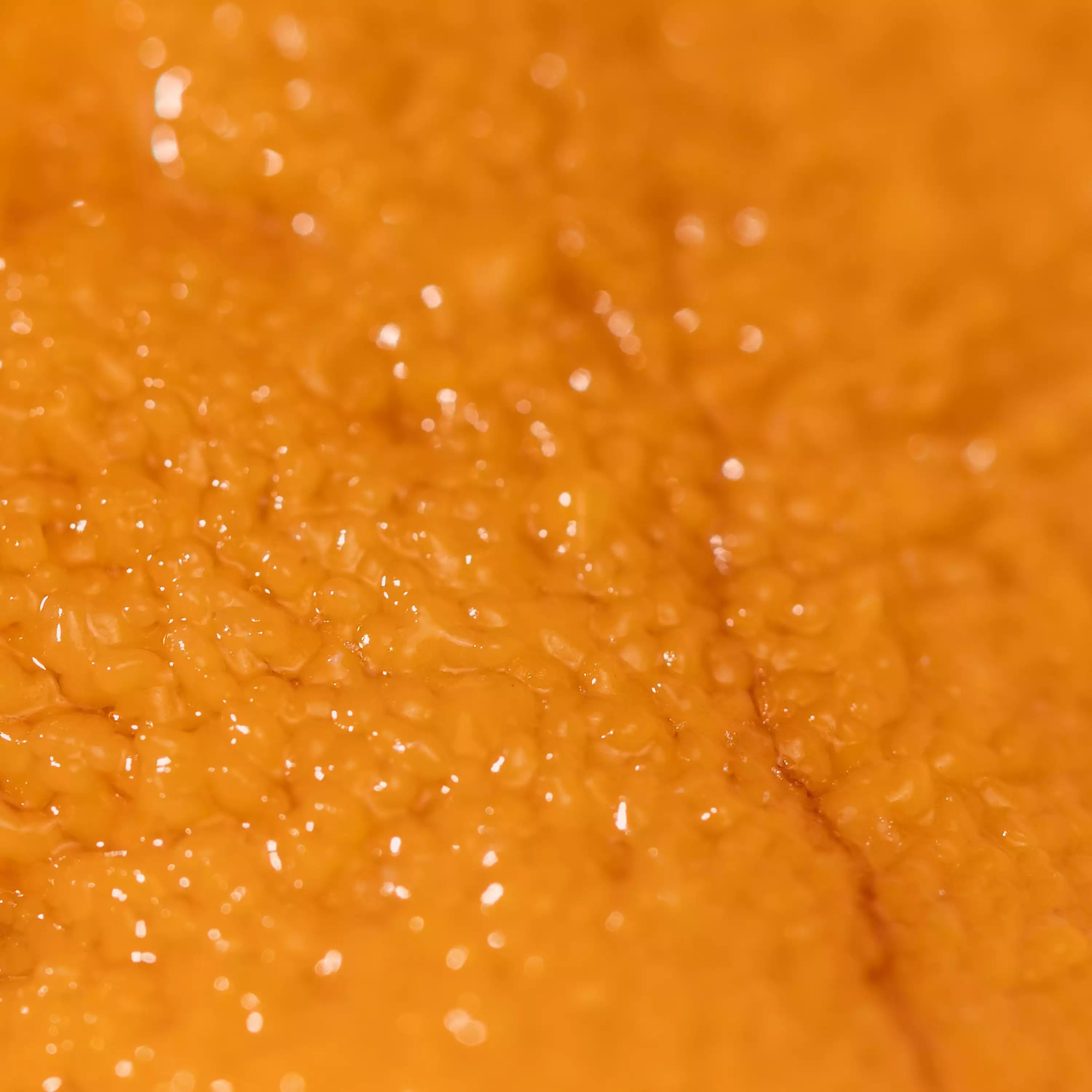Wild-Caught Uni (Sea Urchin) (B Grade) - close up showing bright orange and soft buttery texture - order fresh seafood online buy shellfish home delivery riviera seafood club