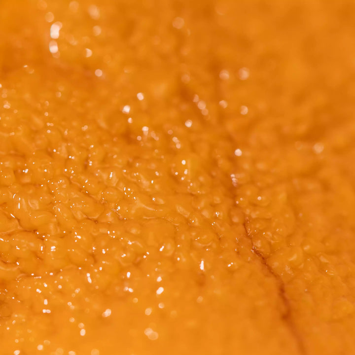 Wild-Caught Uni (Sea Urchin) (B Grade) - close up showing bright orange and soft buttery texture - order fresh seafood online buy shellfish home delivery riviera seafood club