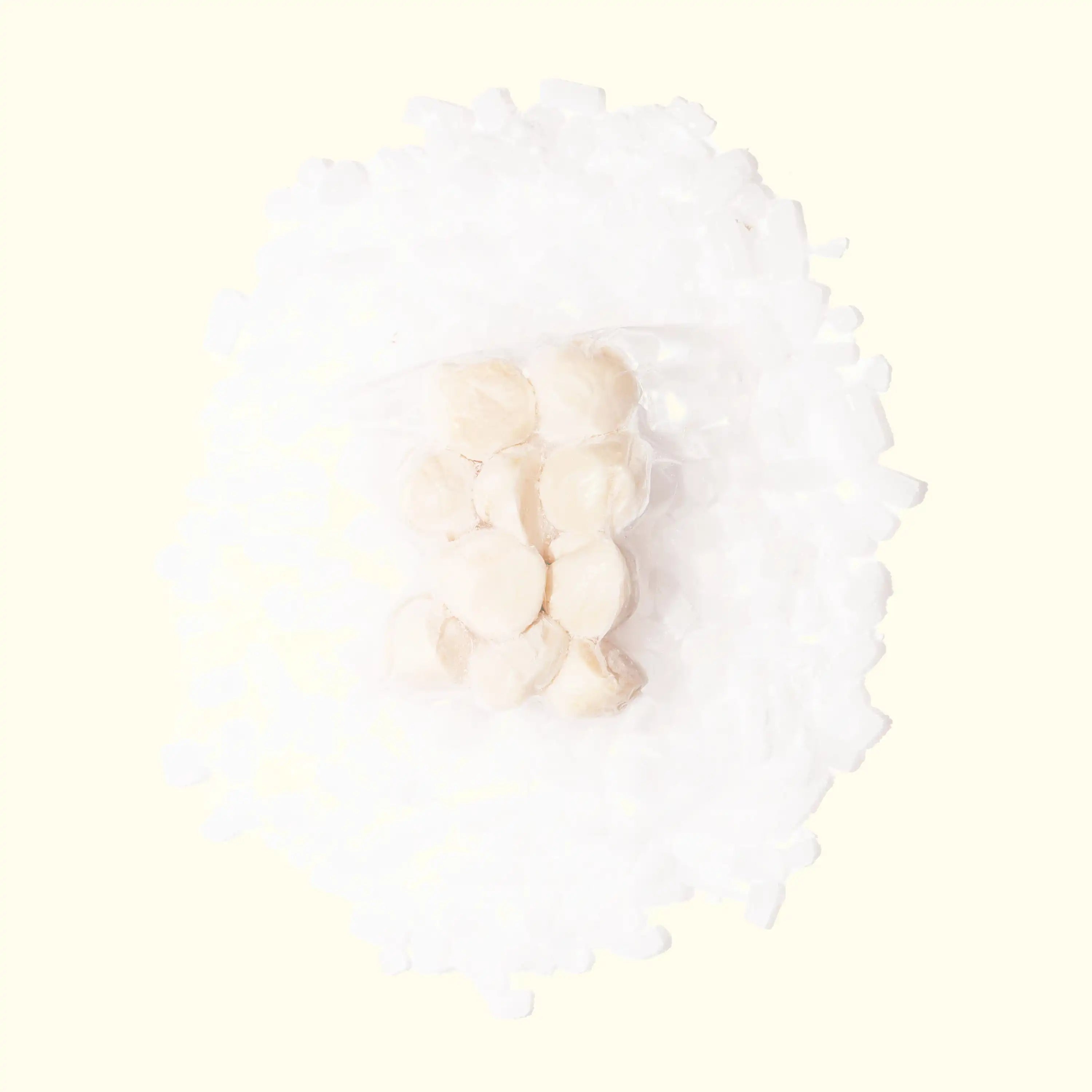 Wild Hokkaido Japanese Sea Scallops - overhead photo in packaging on a bed of ice - order fresh seafood online buy sushi sashimi grade shellfish home delivery riviera seafood club