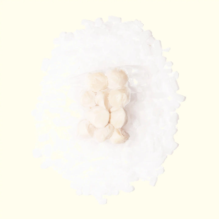 Wild Hokkaido Japanese Sea Scallops - overhead photo in packaging on a bed of ice - order fresh seafood online buy sushi sashimi grade shellfish home delivery riviera seafood club