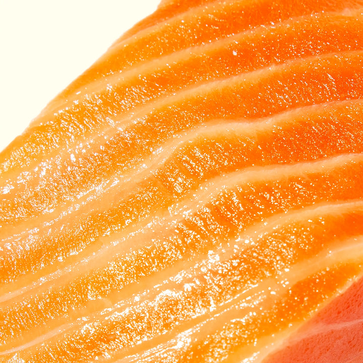 Ōra King Salmon (Filet) from New Zealand - close up photo showing deep bright orange color and buttery fatty texture - order fresh seafood online buy sushi sashimi grade fish home delivery riviera seafood club