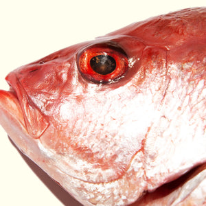 Pacific Red Snapper, Whole